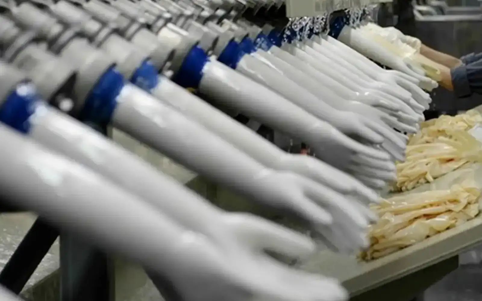 Malaysian glove makers still facing headwinds, say analysts