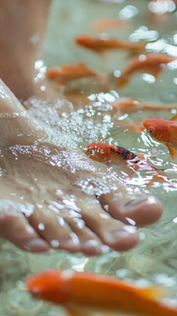 5 Reasons You Should Get A Fish Pedicure For Healthy Feet