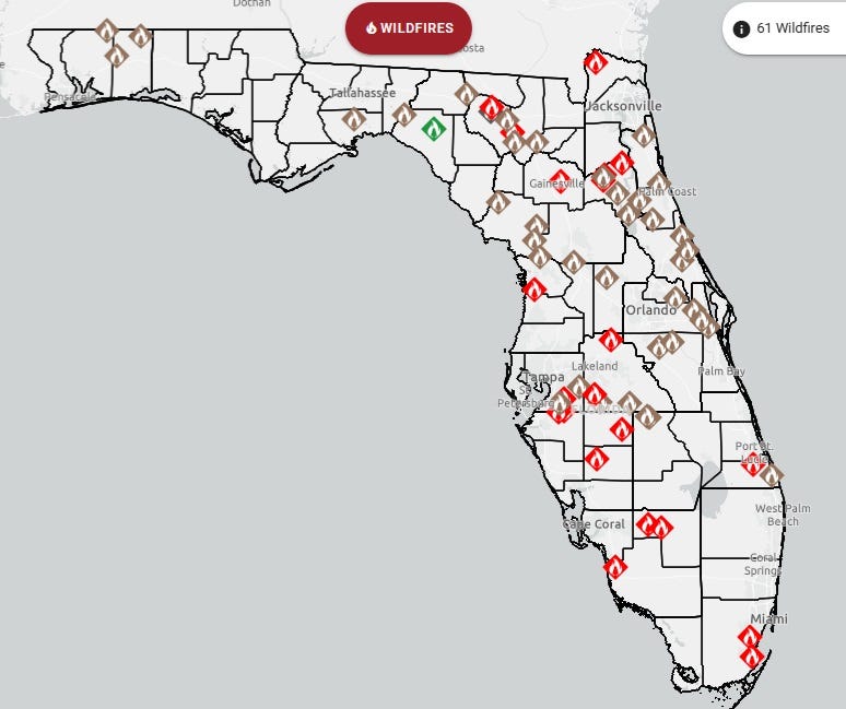 61 wildfires burning in Florida - AA1BQaoM.img