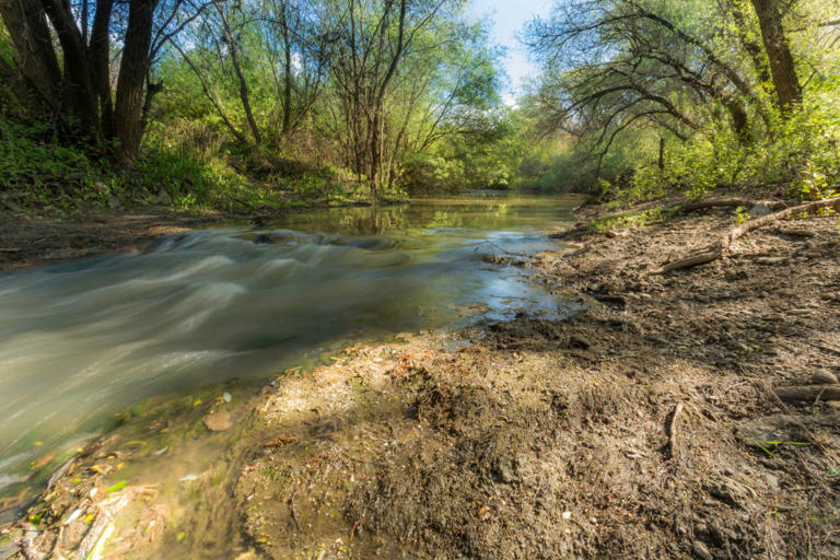 Remains found in California ID’d as 13yearold NYC girl who vanished