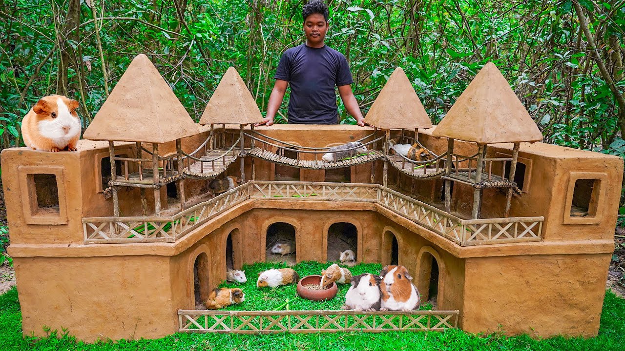 Curated visual reference: Visual Reference: Homeless Guinea Pigs Found Safety A Hand Built Jungle House