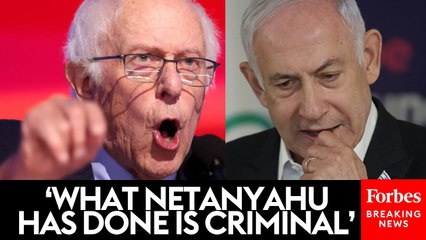Bernie Sanders: 'Netanyahu Has Not Just Gone After Hamas They've Gone