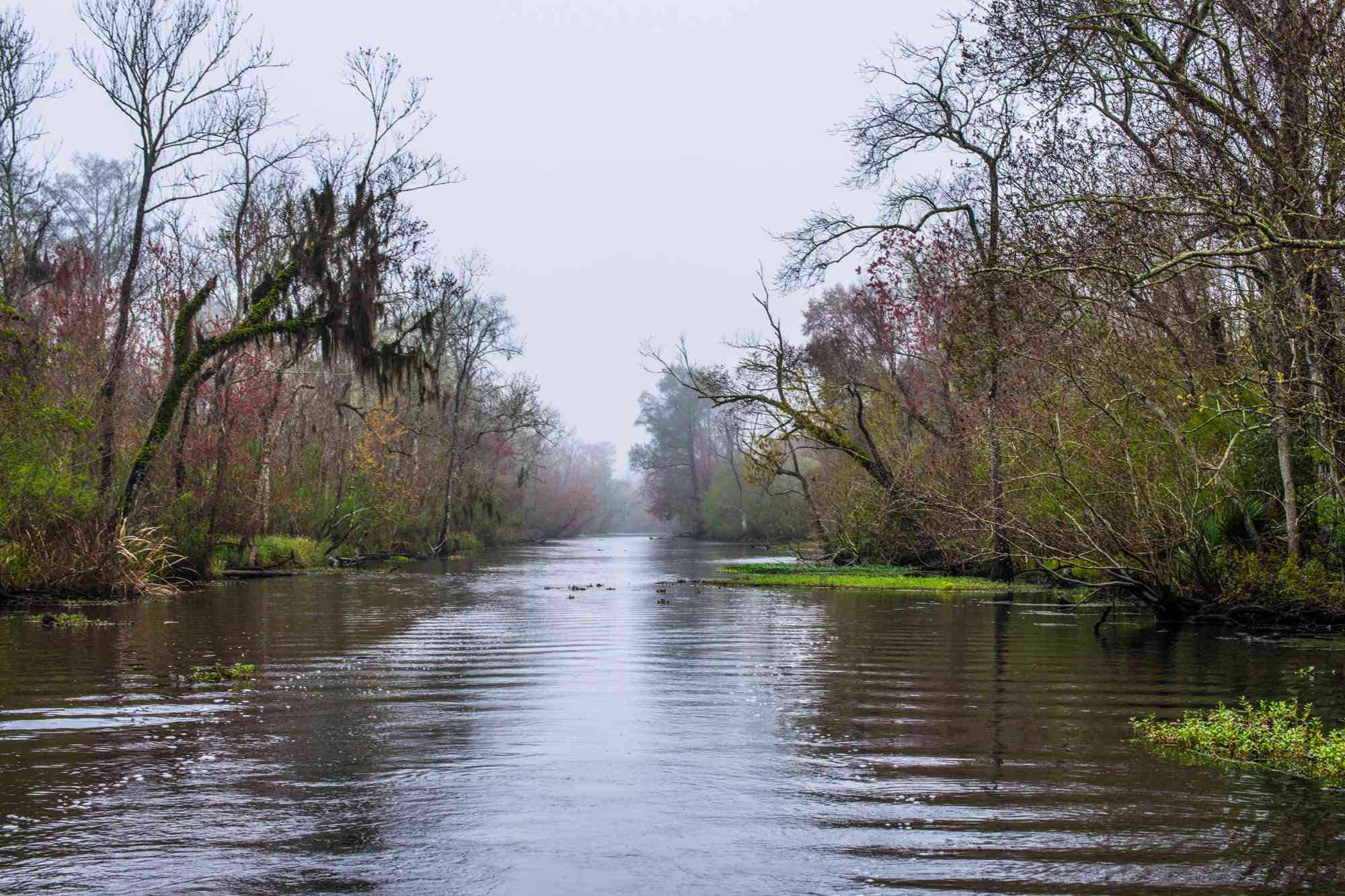 82YearOld Fisherman Was Trapped in Mud for Hours Until Help Arrived