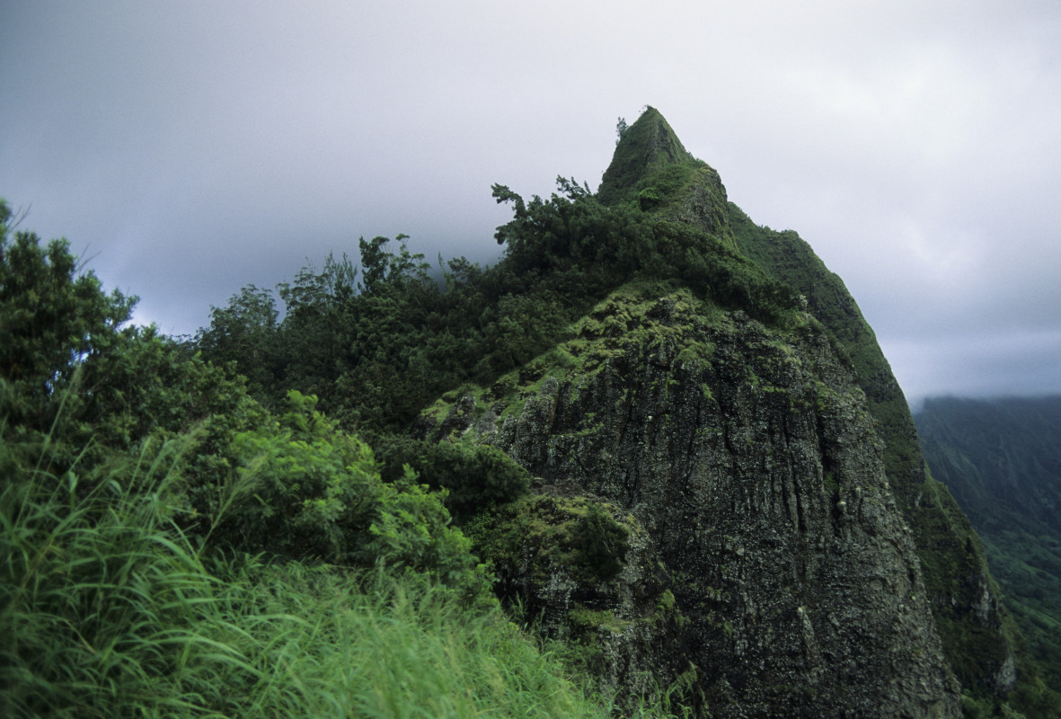 ‘He’s Trying to Kill Me’ New Details Emerge About Maui Doc Who Tried