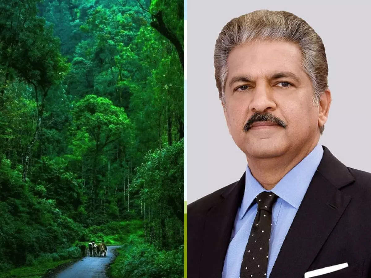 Anand Mahindra’s weekend getaway is a 5-hour drive from Bengaluru, with a 350-year-old mystery