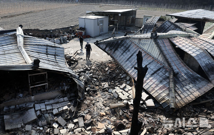 [안동=뉴시스] 이무열 기자 = 30일 경북 안동시 임하면 추목리에서 산불 피해 주민들이 전소된 집을 살펴보고 있다. 2025.03.30. lmy@newsis.com
