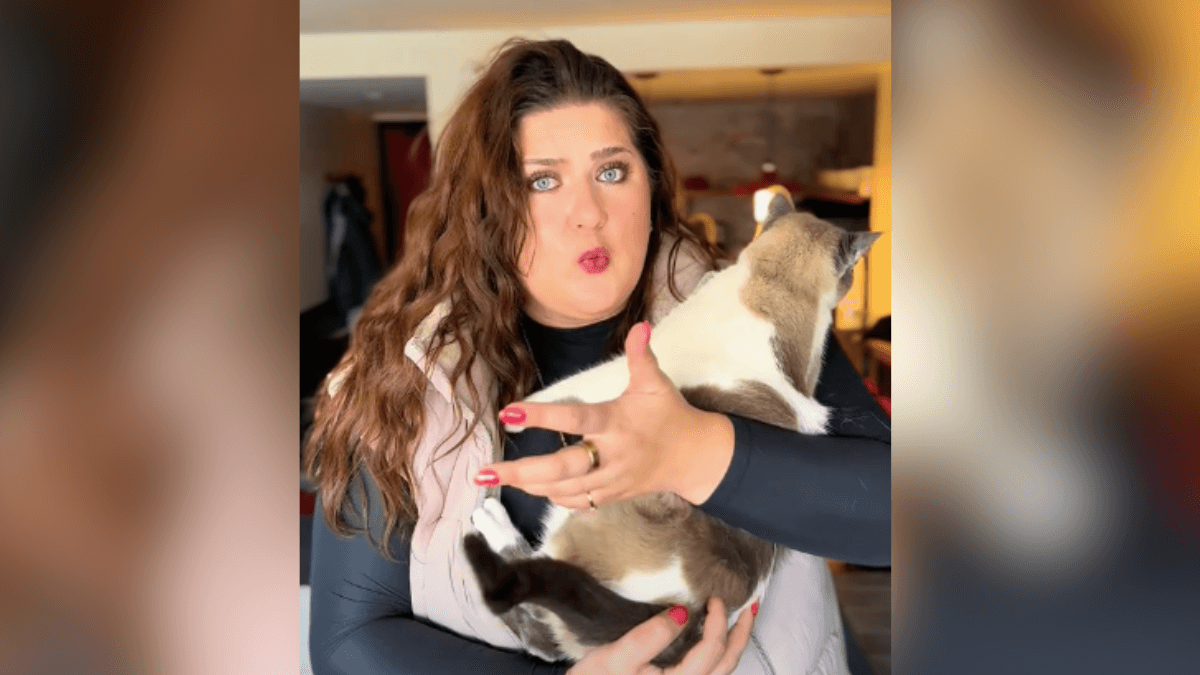 Cat owner in shock after flight attendant makes unbelievable request