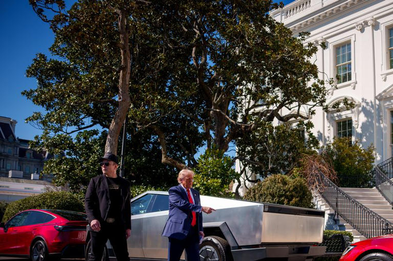 Donald Trump cutting down historic White House tree and sparks fears it