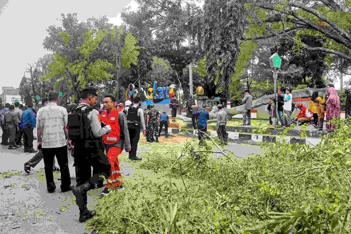 Innalillahi, Tragedi Pohon Beringin Tumbang Saat Salat Ied di Pemalang ...