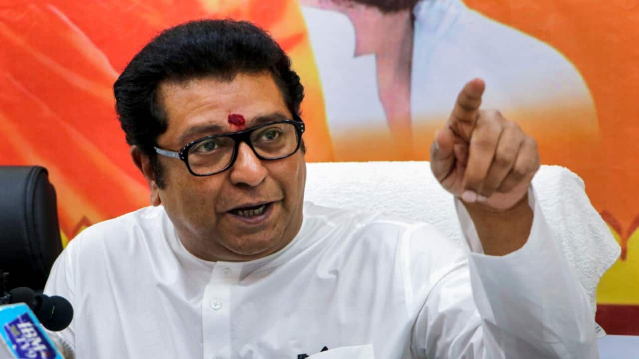 'Hindus who feel awakened after watching Chhava are of no use': Raj Thackeray on Aurangzeb row
