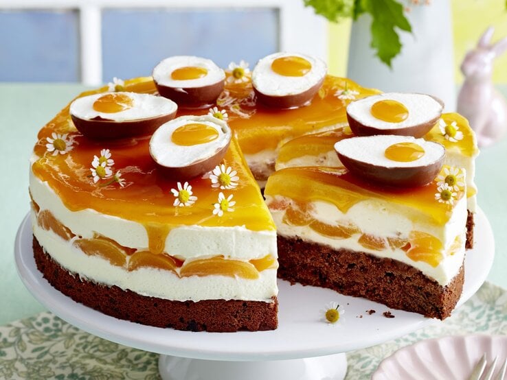 Aprikosen-Schmand-Torte: Tolle Idee zum Osterfest