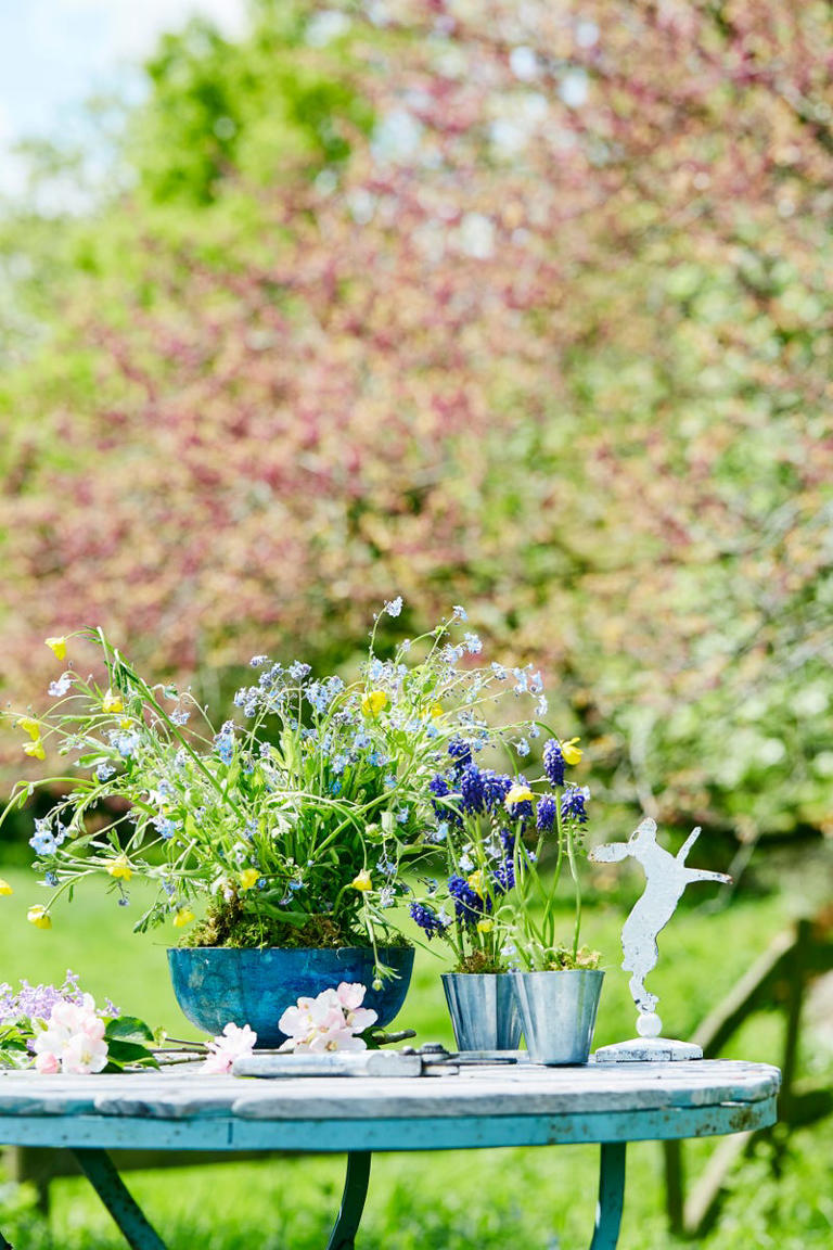 What to plant in April – plus 13 easy jobs for a thriving spring garden