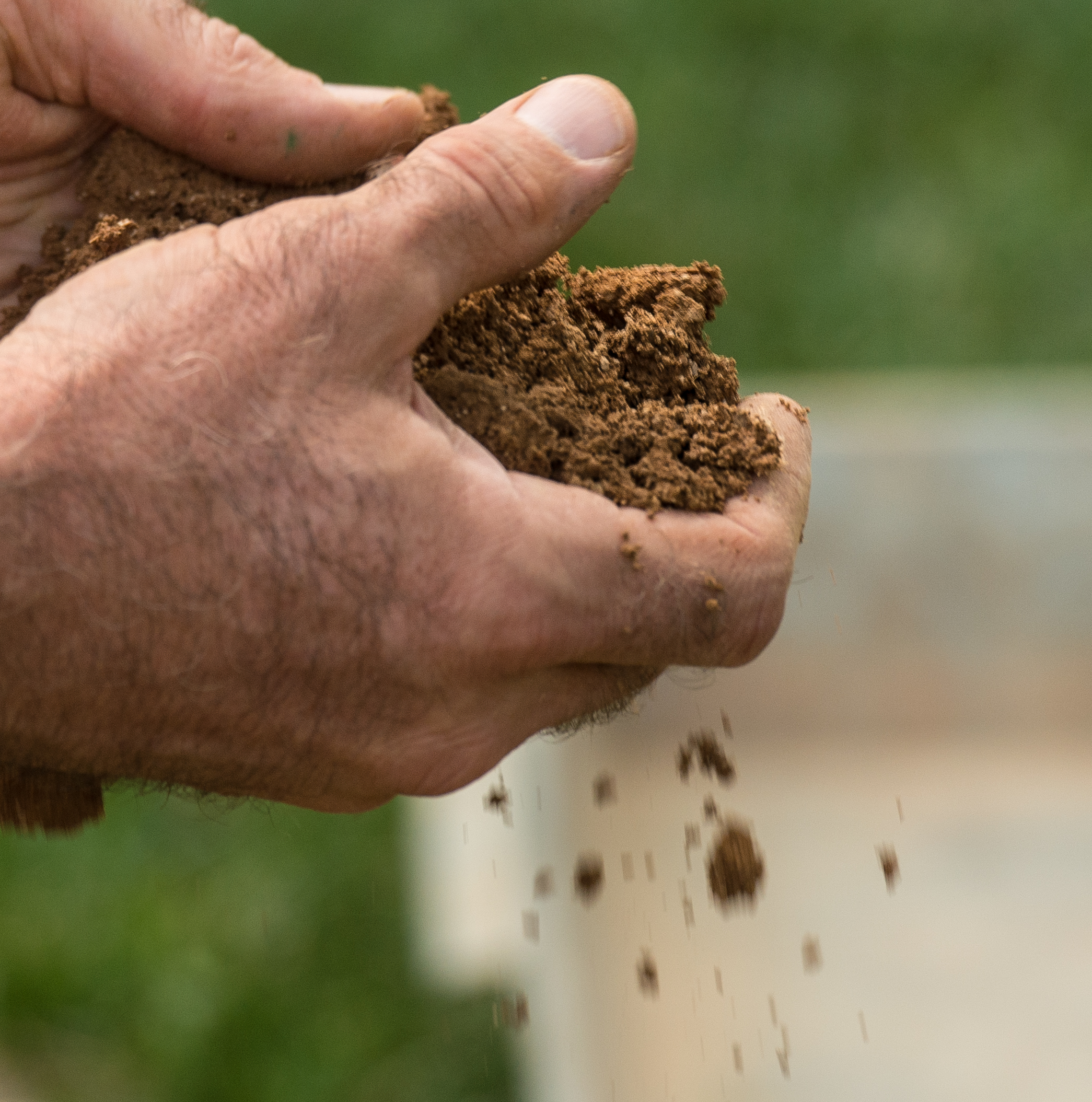 El secreto sueco para llevar una vida equilibrada