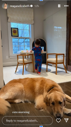 "Cute Morning": Alex Bregman's wife Reagan brightens up fans' day with