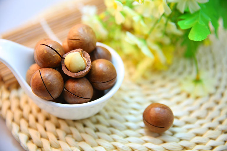 8 health benefits of macadamia nuts: why you should add them to your diet