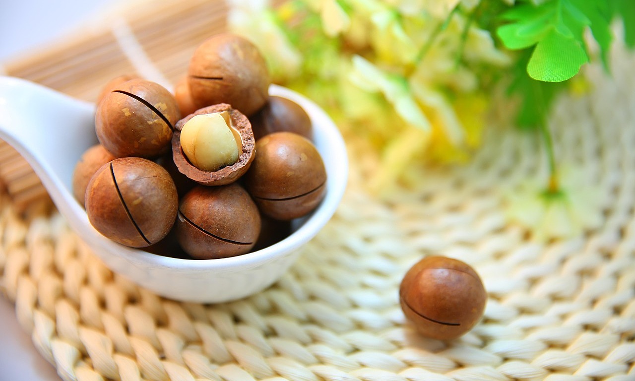 8 Surprising Health Benefits of Macadamia Nuts: Why You Should Add Them to Your Diet (International Edition)