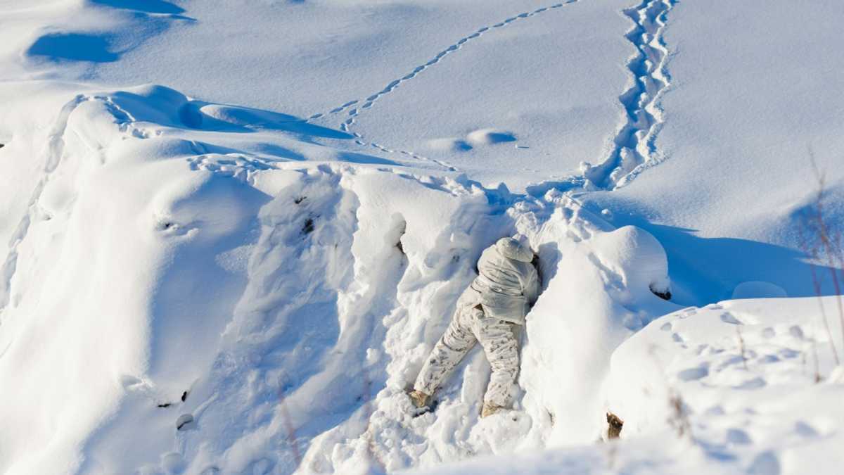 Canada's PM Carney Strikes Deal With Australia to Enhance Arctic Radar Defense Canada's PM Carney Strikes Deal With Australia to Enhance Arctic Radar Defense