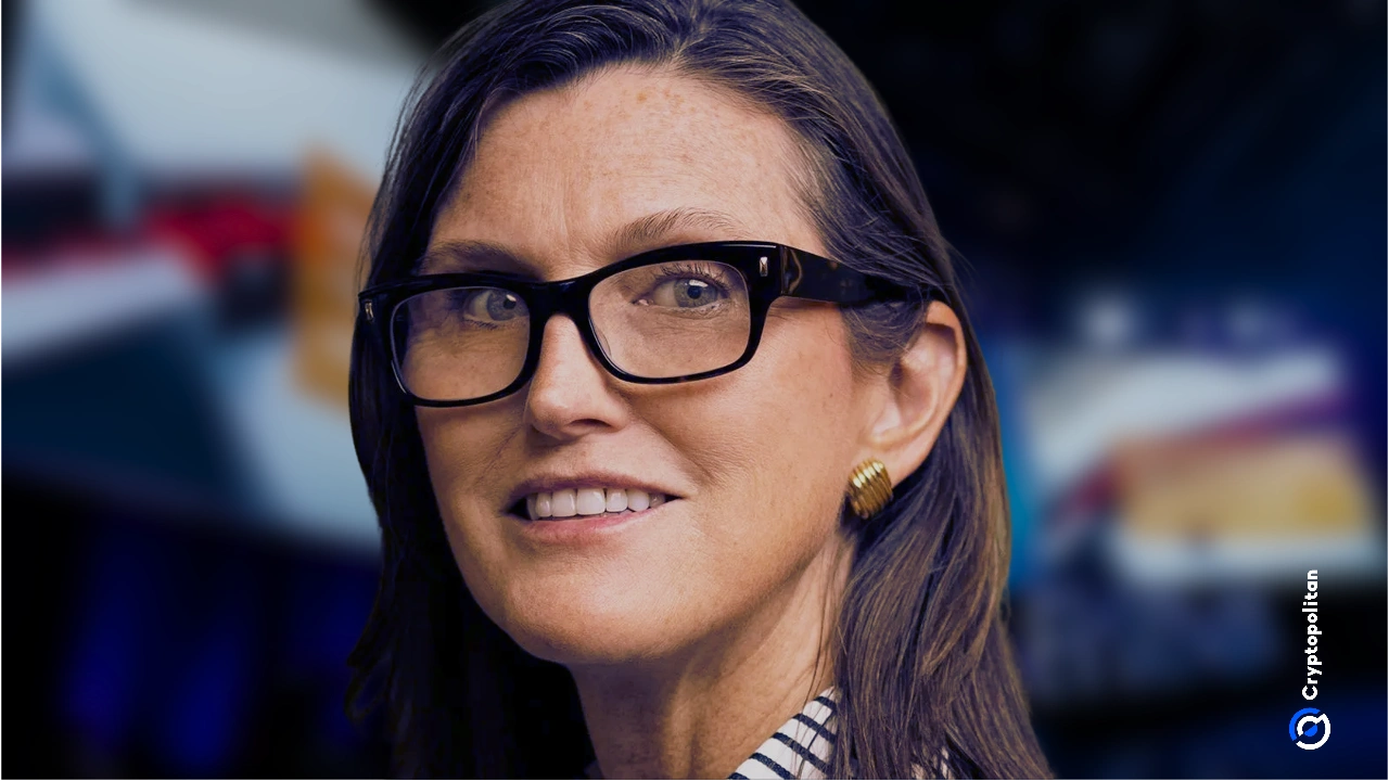 Famed investor Cathie Wood says most ...