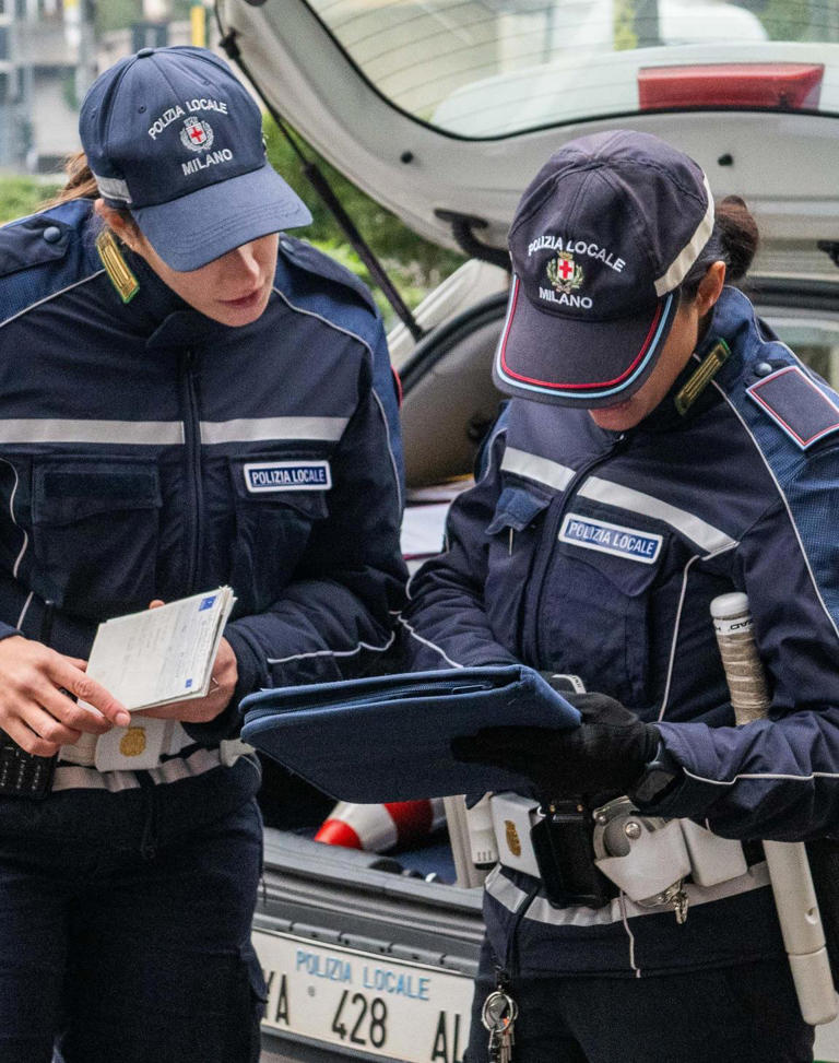 FANTECH 484164 Controllo Velocità Con Piastra Decora, 120 V, 5 A | CL3ZPM - Foto 8