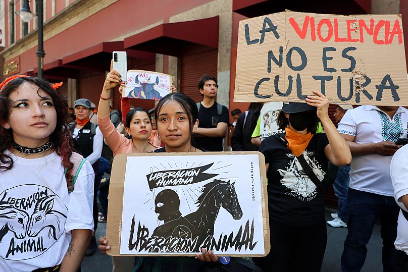 Lawmakers in Mexico City ban violent bullfighting, prompting fury and(00)