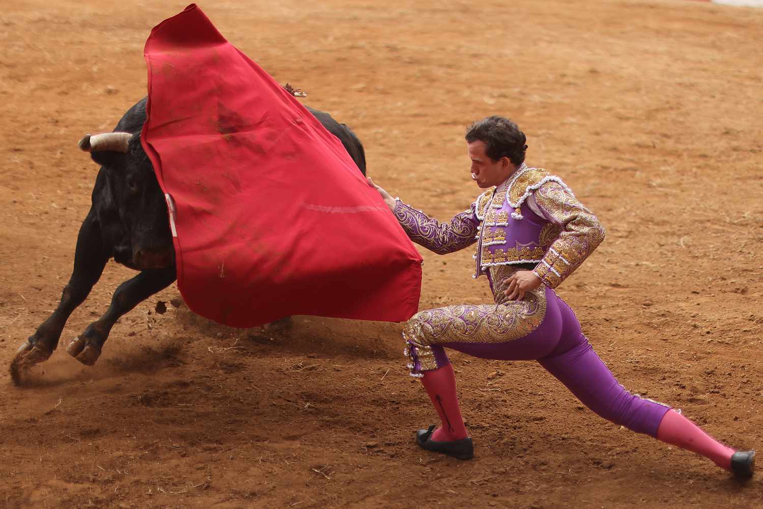 Mexico City Votes to Ban 'Violent' Bullfight Events that Harm or Kill