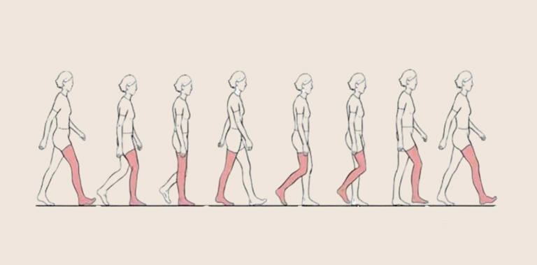 Minh họa tư thế đi bộ đúng, lấy chân phải làm ví dụ. Ảnh: Bác sĩ cung cấp