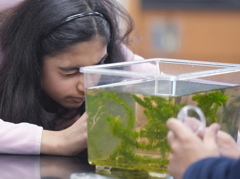 Wayne Saturday Academies help students get ready for high school classes