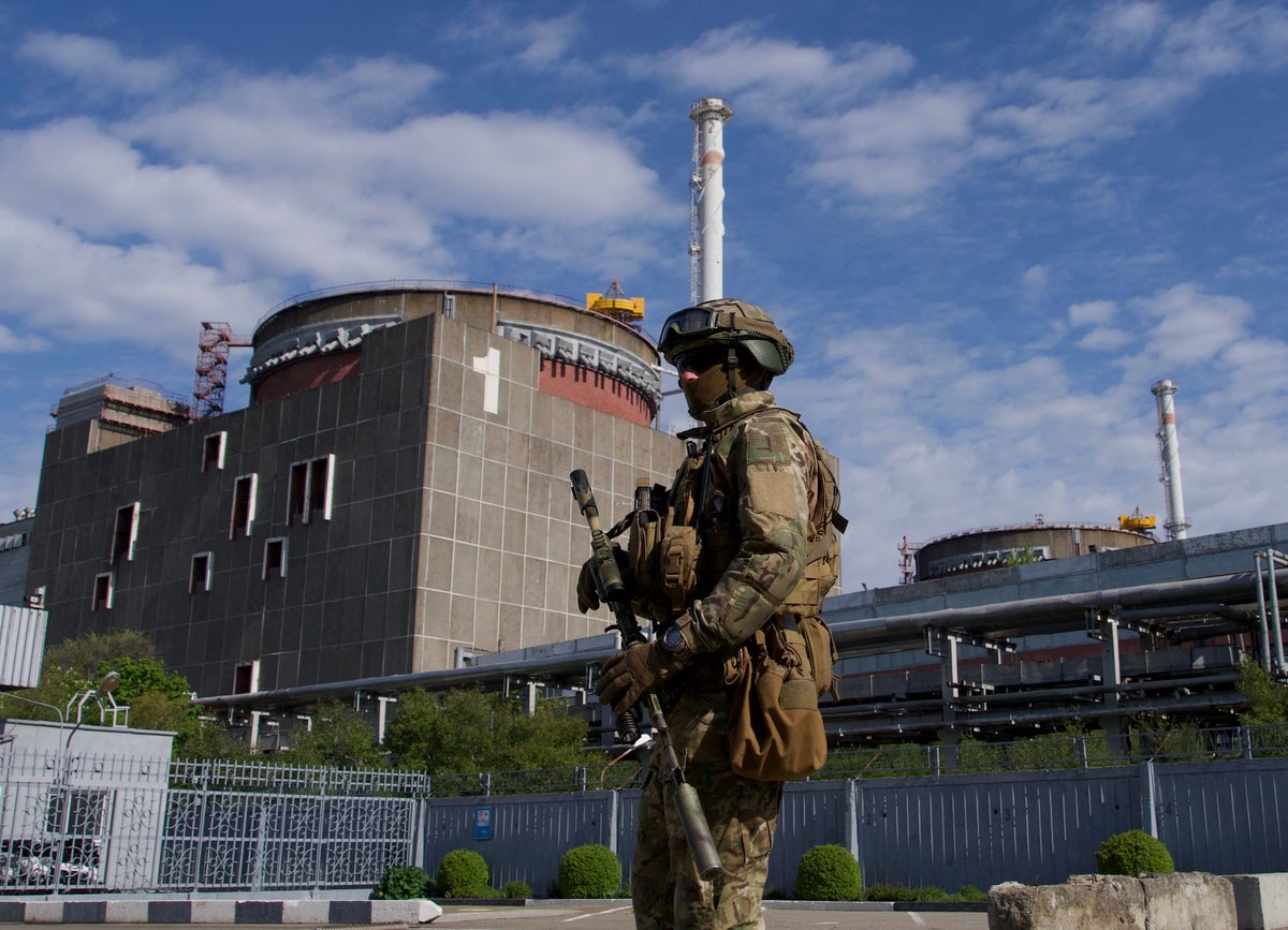 Russian firm insists it can run seized nuclear power plant