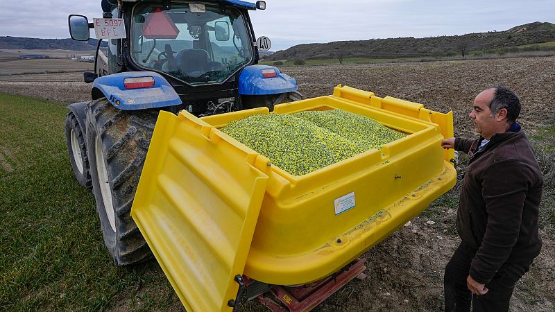 Professionelles Avocado Baum Spray Dünger - 100ml Pflanzenpflege Konzentrat