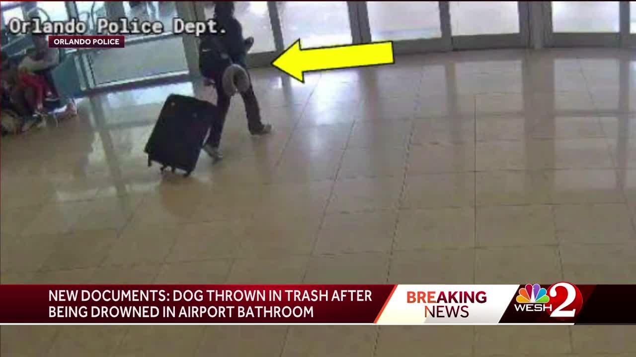 Woman drowns dog in Florida airport bathroom after denied boarding(00)
