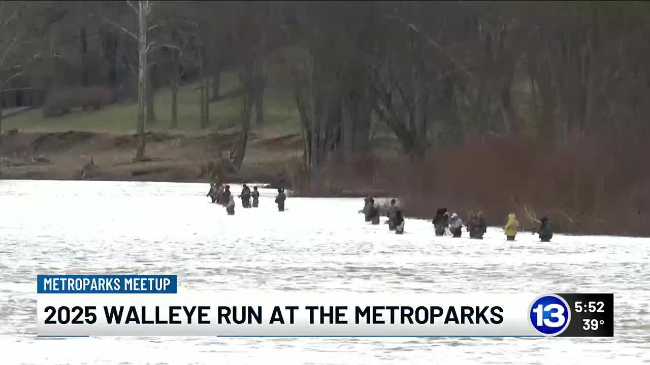 Metroparks Meetup: 2025 walleye run at the Metroparks
