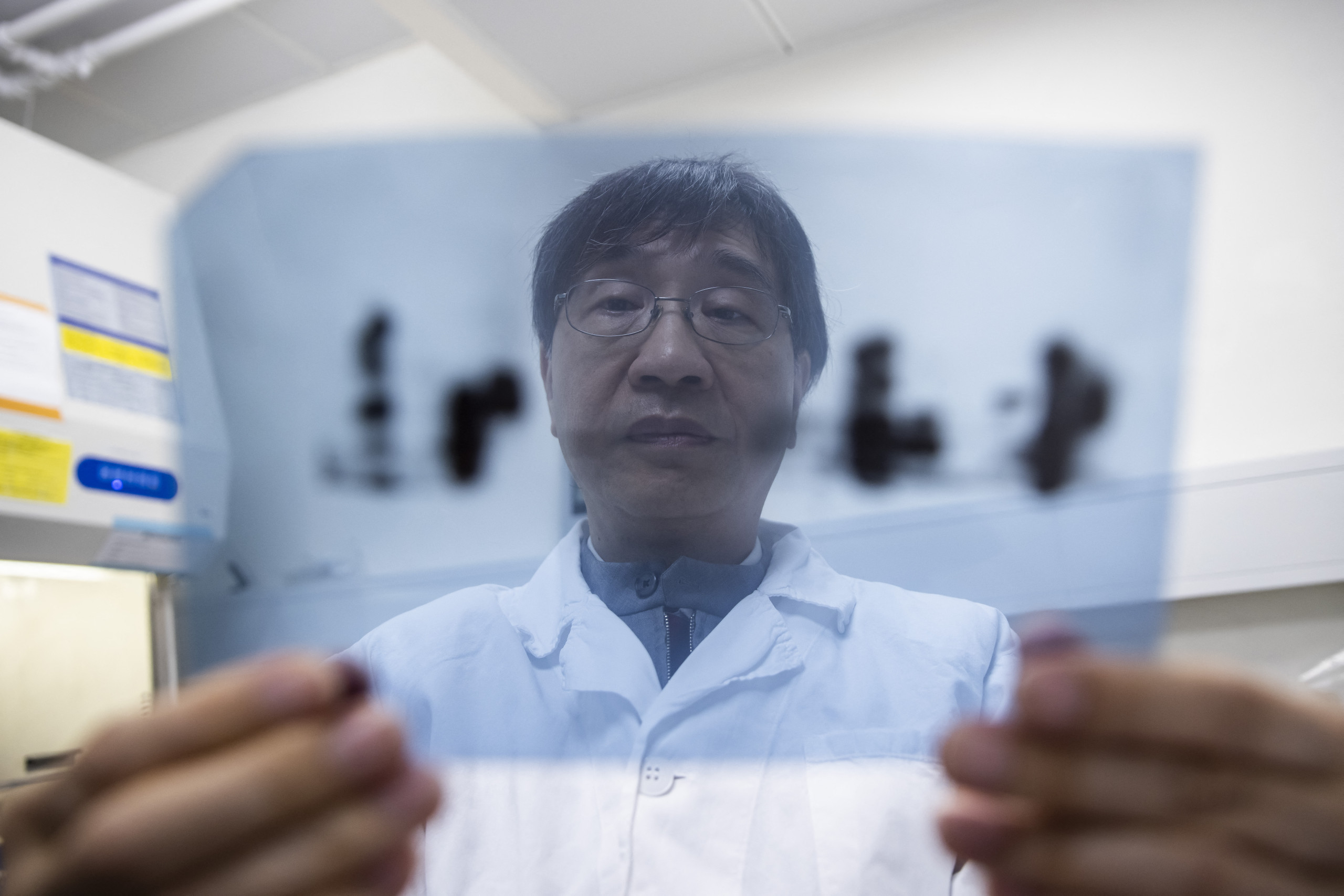 Life in 2025 the accuracy of pandemic predictions