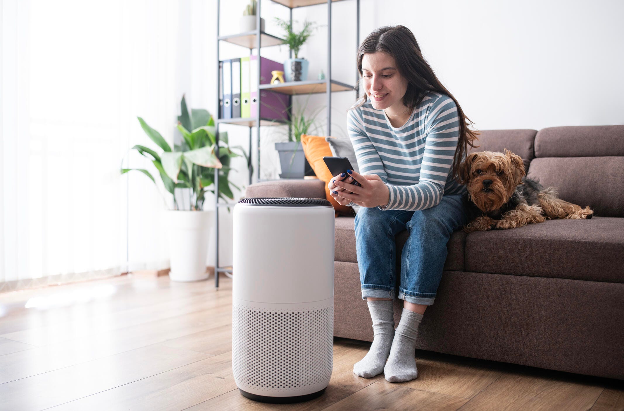 Humidifier vs. Purifier: How to Pick the Right Option for Yourself