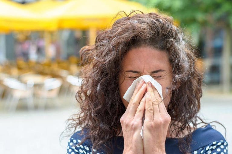 Humidifier vs. Purifier: How to Pick the Right Option for Yourself