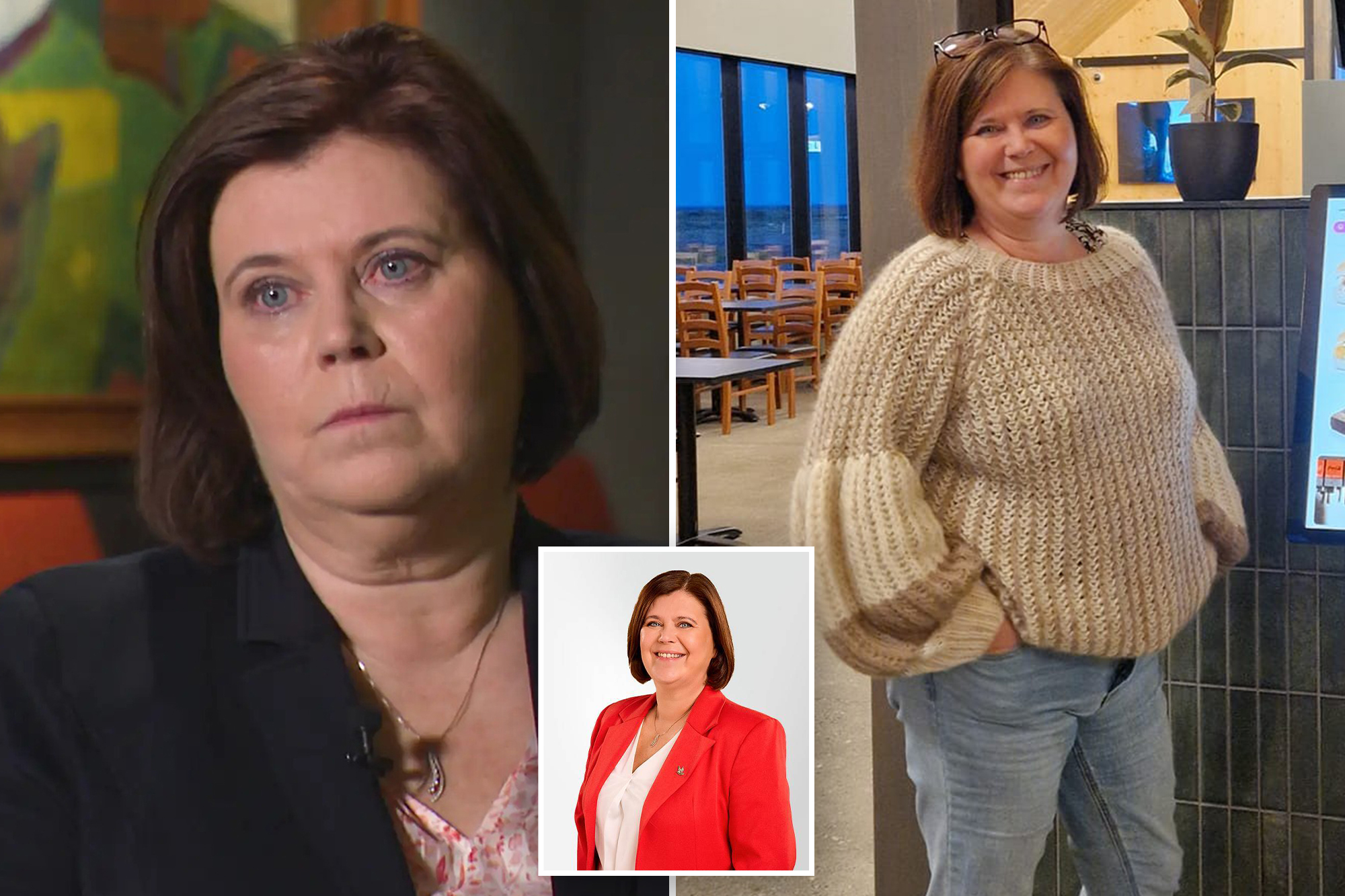 Iceland’s minister for children quits after admitting she had a baby