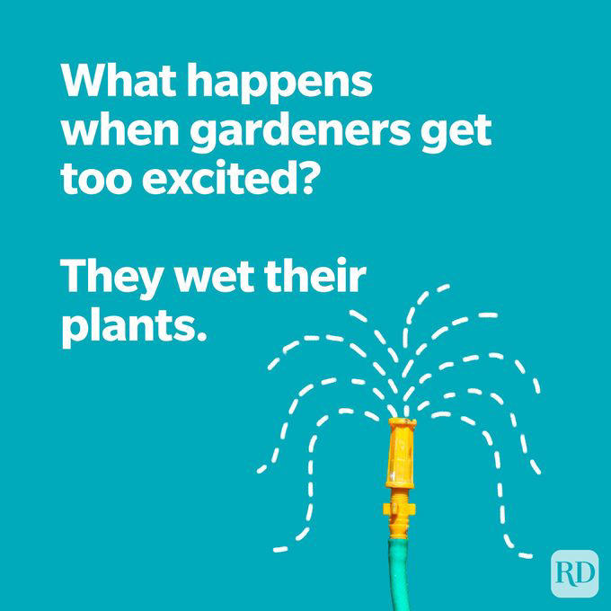 103 Spring Puns That Will Make You Chirp with Laughter