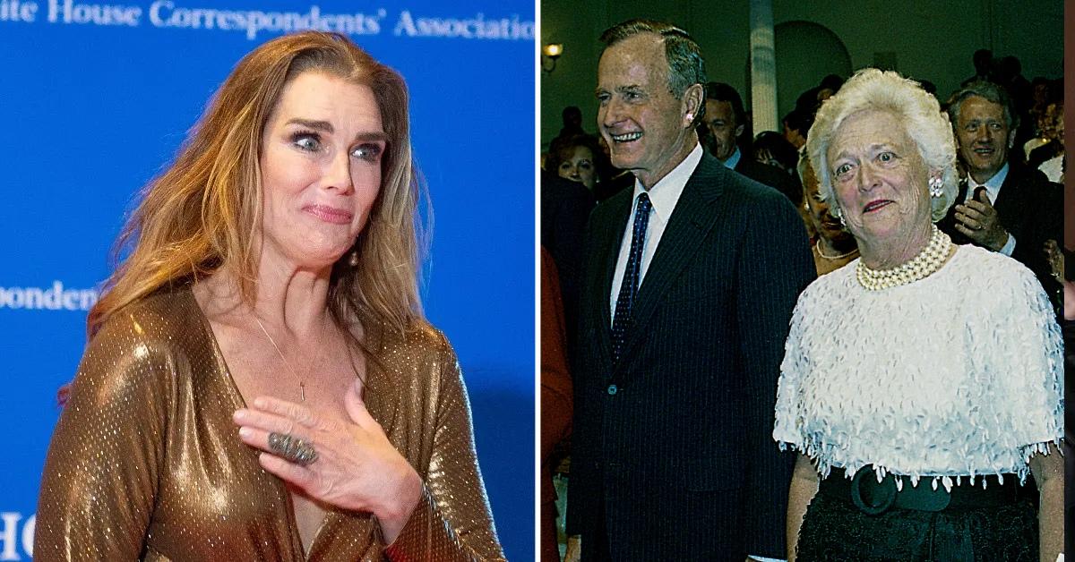 Brooke Shields Recalls Embarrassing Moment She Walked in on H. W