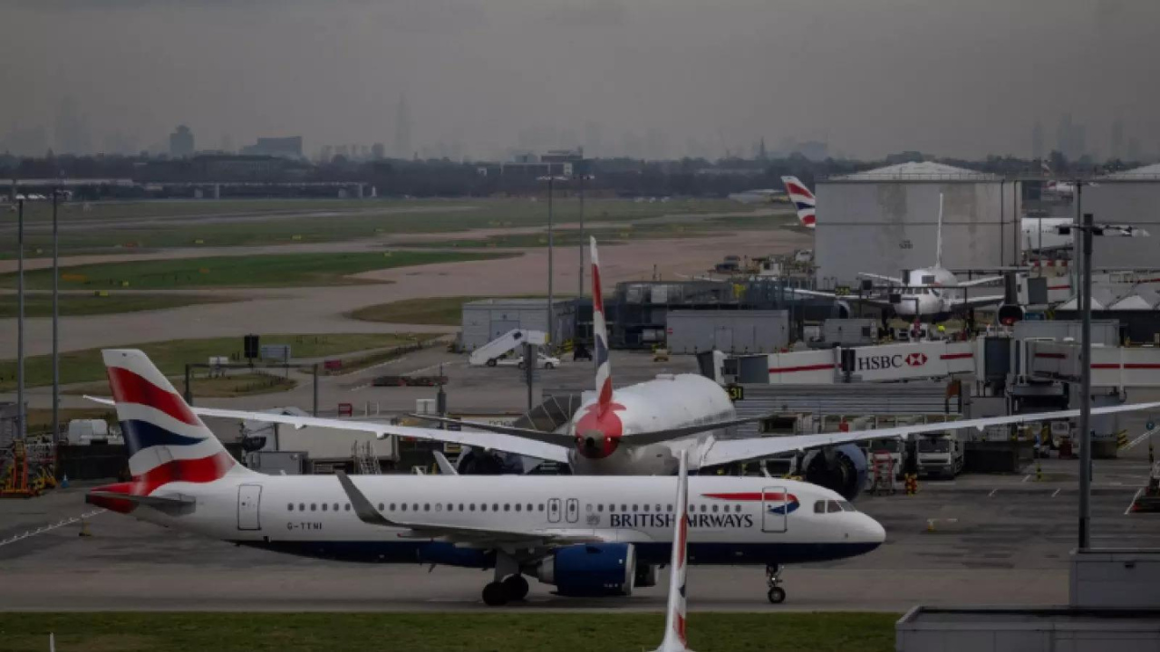 Florida woman drowns dog in airport bathroom after being denied