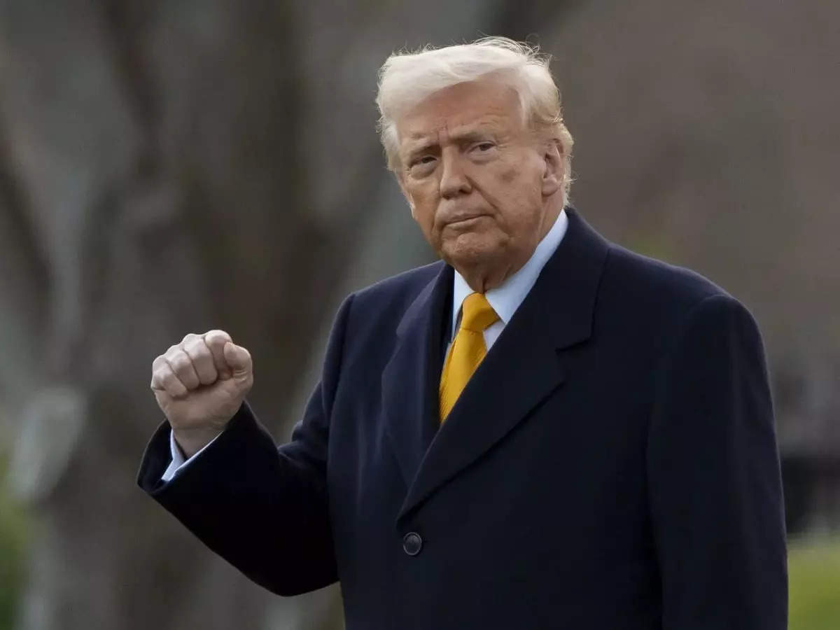 Donald Trump says US may join British Commonwealth: All you need to