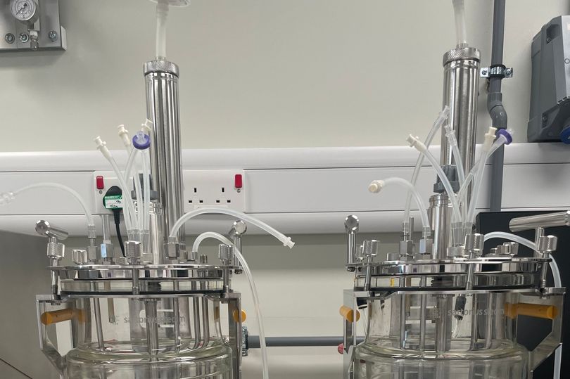 Experts reveal their 'secret weapon' to help the UK fight against the