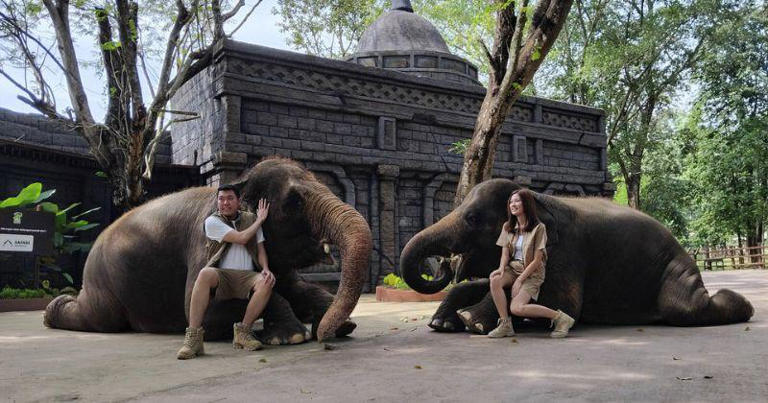 10 Tempat Wisata Solo Paling Hits yang Bikin Liburan Makin Seru