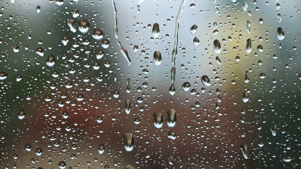 Light rain and snow showers likely today