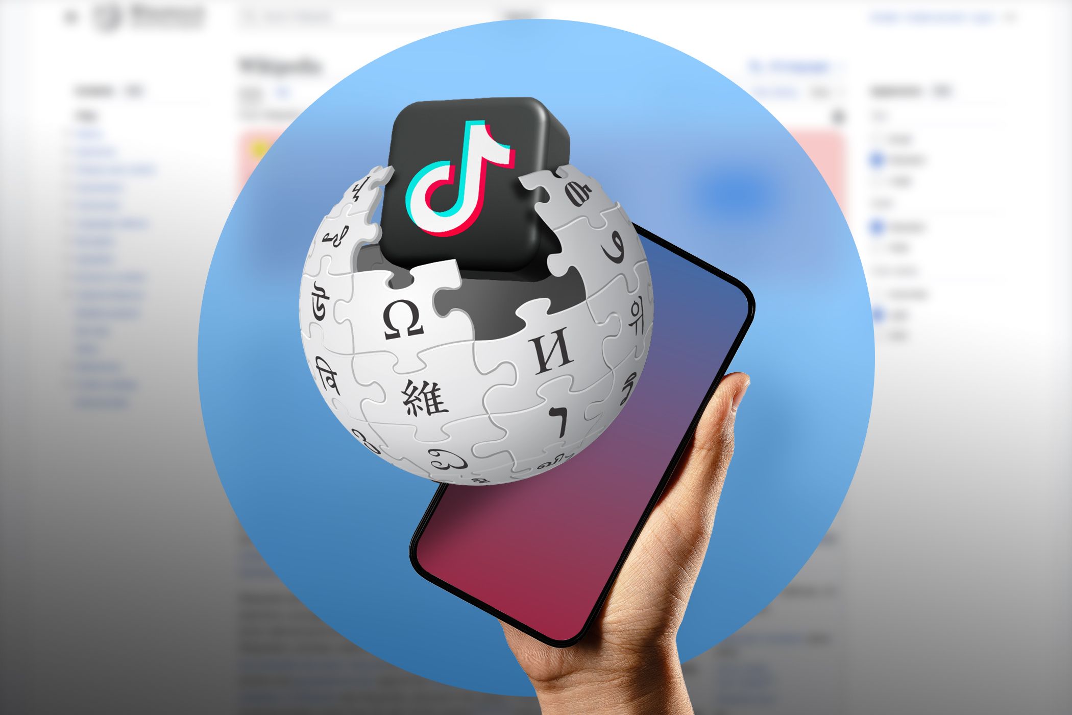 TIKTOK WIKIPEDIA visual data 8