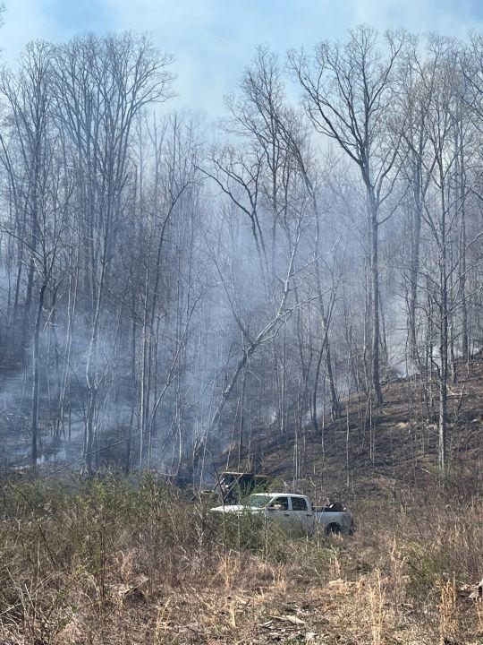 Rural Metro responds to brush fire in Halls, public urged not to burn