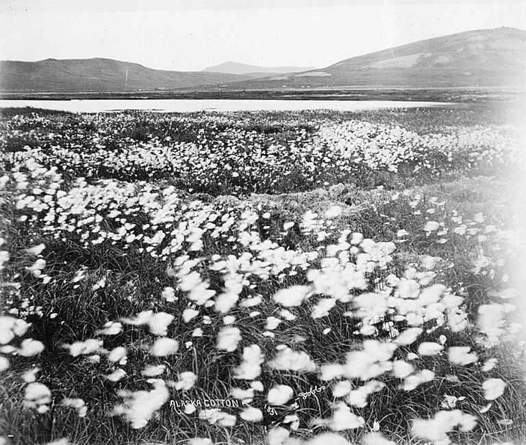 Indigenous Data Sovereignty: Tribes Launch Alternative Climate