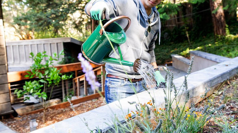 KC Farm School brings back annual spring sale on plants, seeds