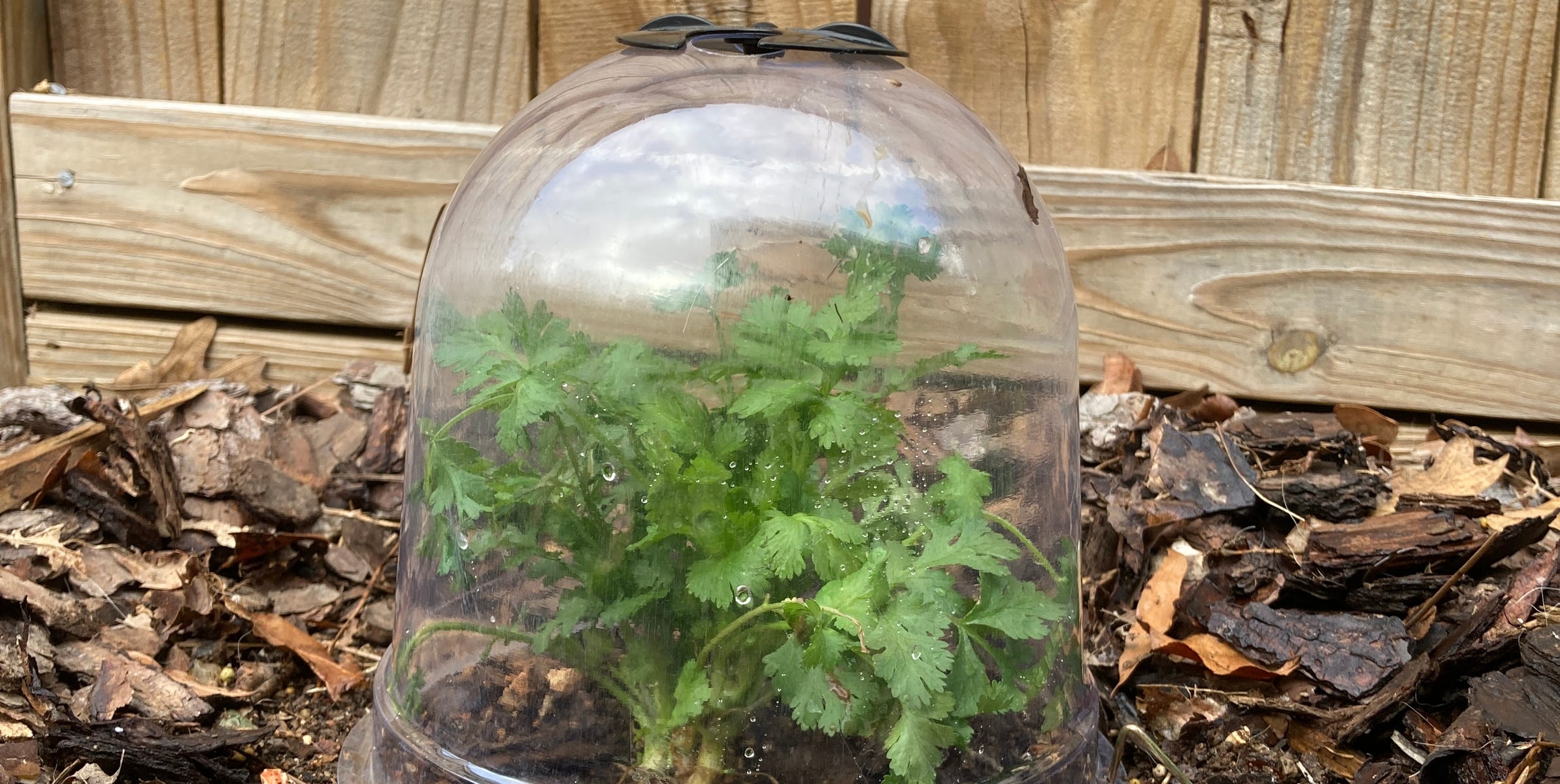 This OldSchool French Garden Tool Is a Green Thumb’s Secret Weapon