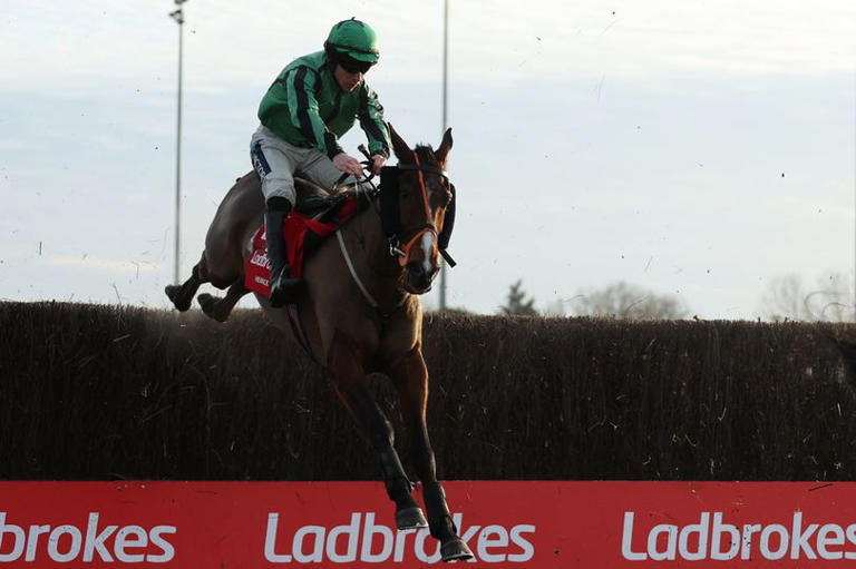 Grand National 2025 Gavin Sheehan says Hewick has quality, bravery and