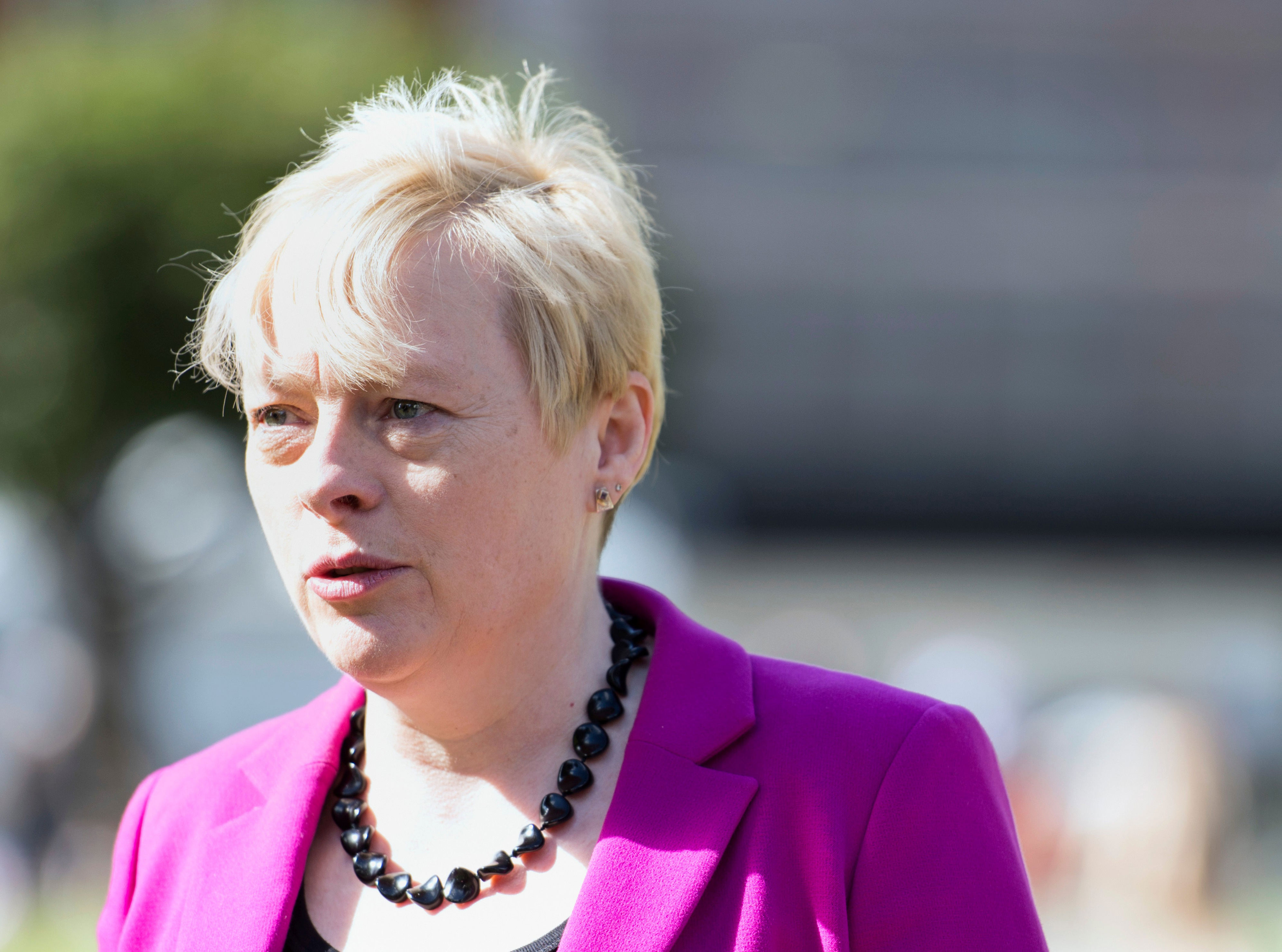 Dame Angela Eagle warned illegal workers that they will be caught (Lauren Hurley/PA) (PA Archive)