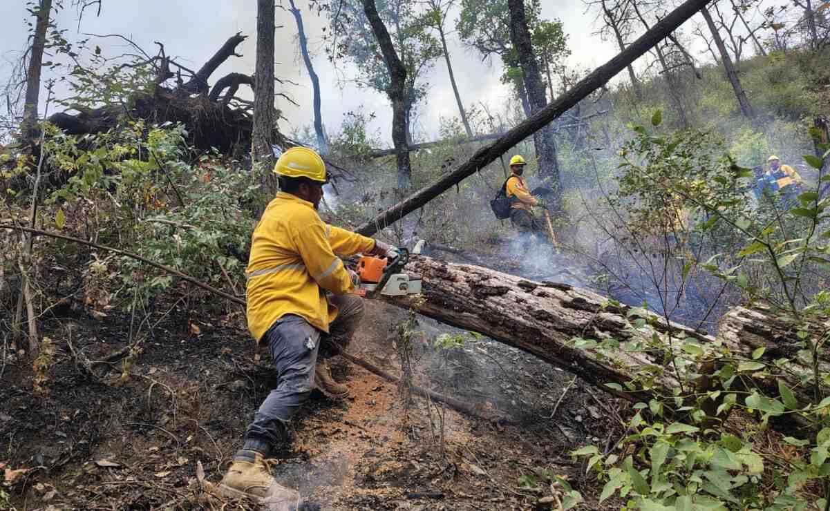 Vuelca camioneta en Nuevo León y deja 12 muertos (23/02/2025). Foto: Especial